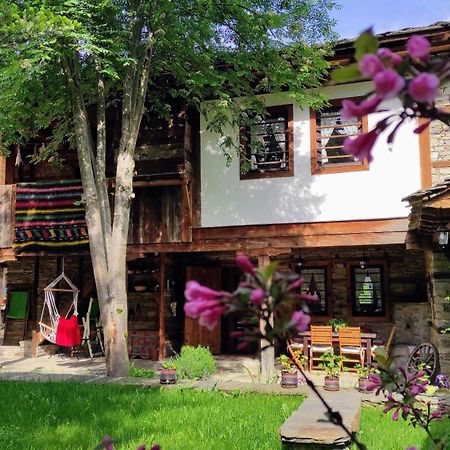 Kalinia Guesthouse B&B Kovačevica 외부 사진