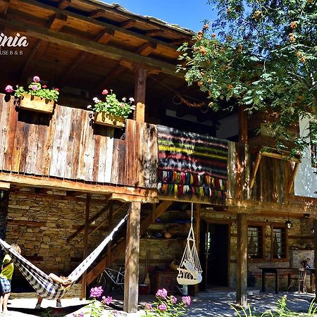 Kalinia Guesthouse B&B Kovačevica 외부 사진