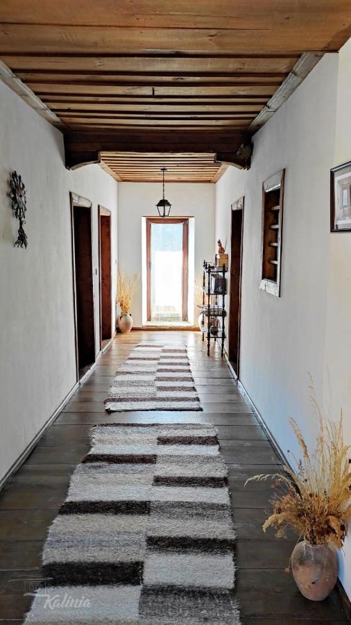 Kalinia Guesthouse B&B Kovačevica 외부 사진