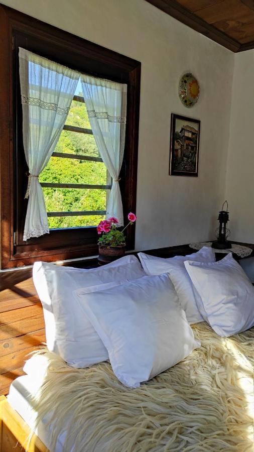 Kalinia Guesthouse B&B Kovačevica 외부 사진