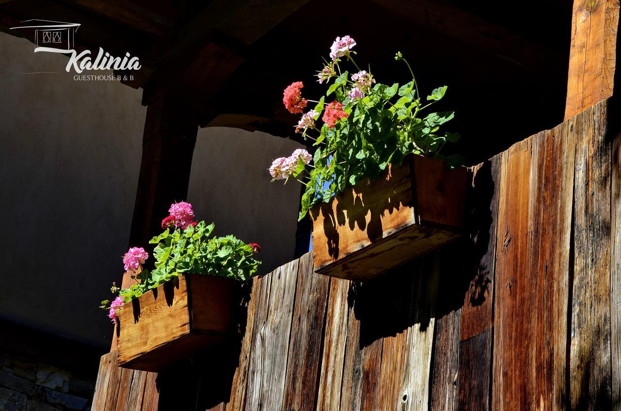 Kalinia Guesthouse B&B Kovačevica 외부 사진