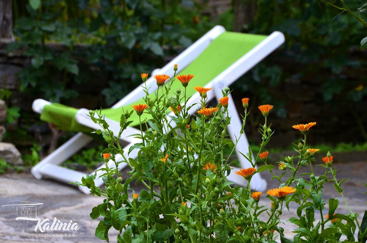 Kalinia Guesthouse B&B Kovačevica 외부 사진