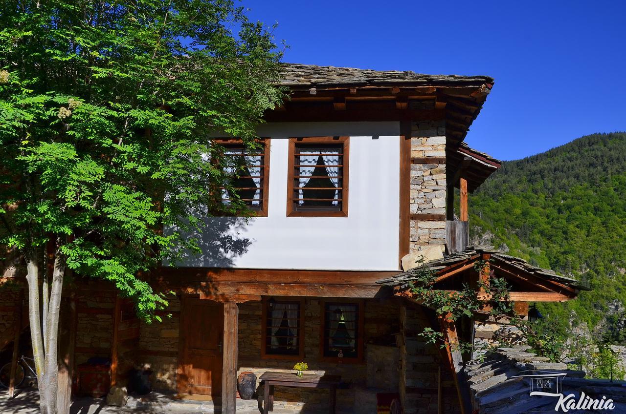 Kalinia Guesthouse B&B Kovačevica 외부 사진