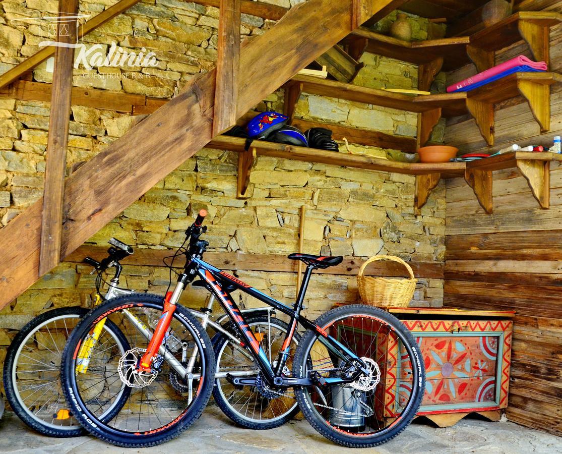 Kalinia Guesthouse B&B Kovačevica 외부 사진