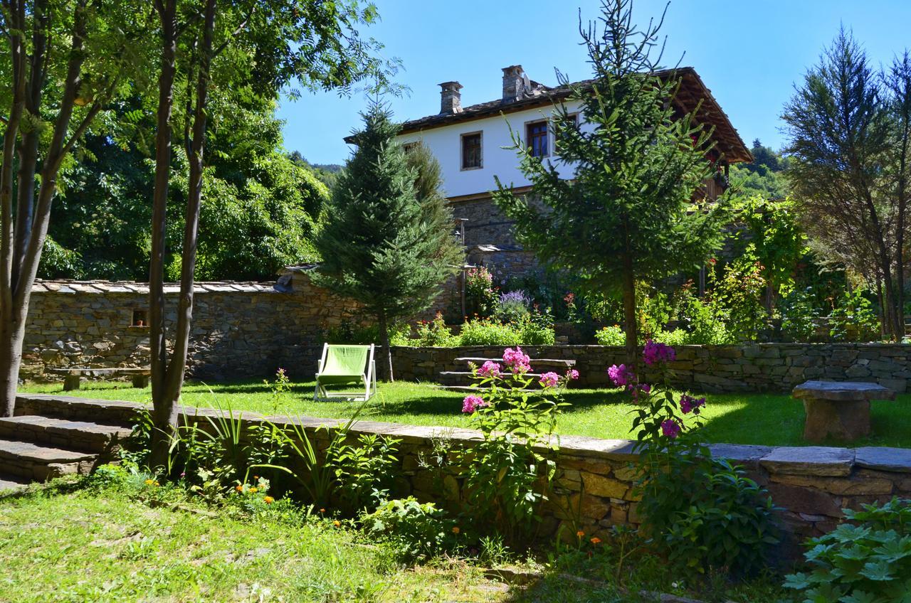 Kalinia Guesthouse B&B Kovačevica 외부 사진