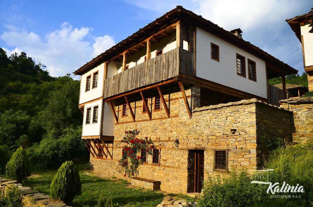 Kalinia Guesthouse B&B Kovačevica 외부 사진