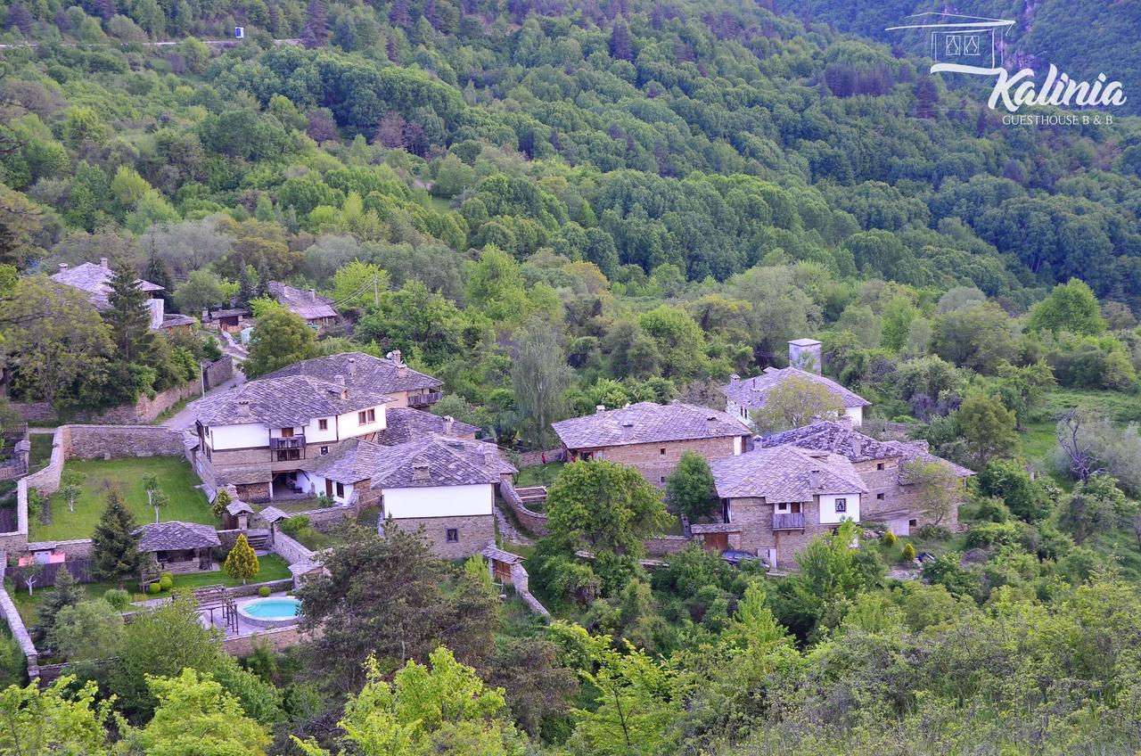Kalinia Guesthouse B&B Kovačevica 외부 사진