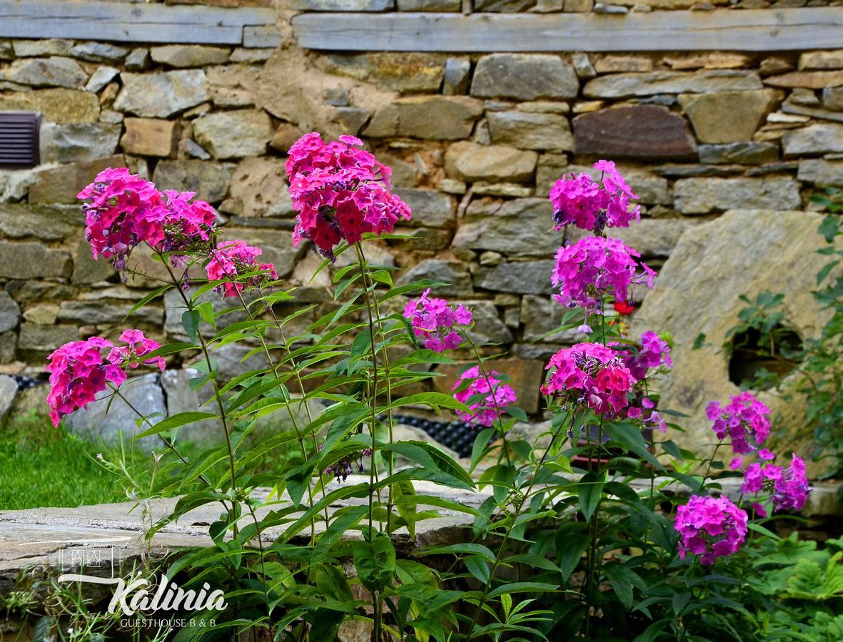 Kalinia Guesthouse B&B Kovačevica 외부 사진