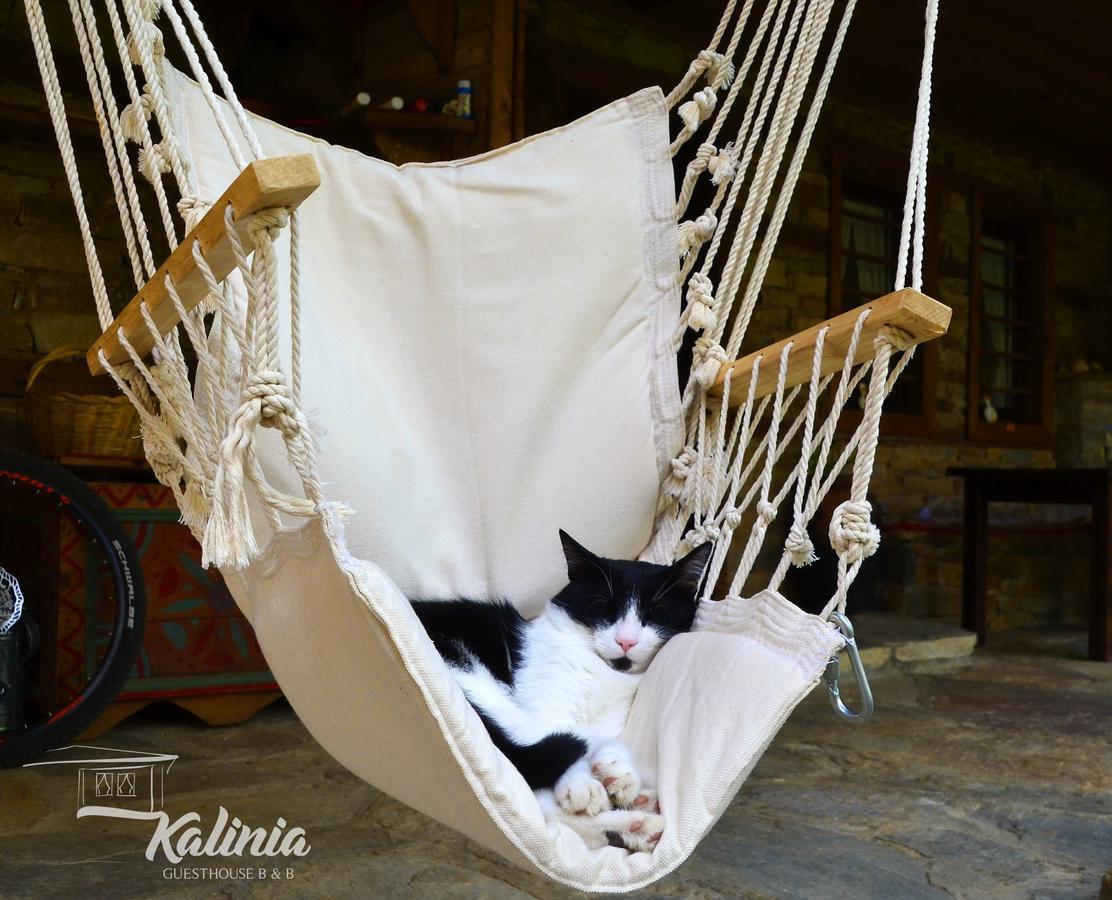 Kalinia Guesthouse B&B Kovačevica 외부 사진