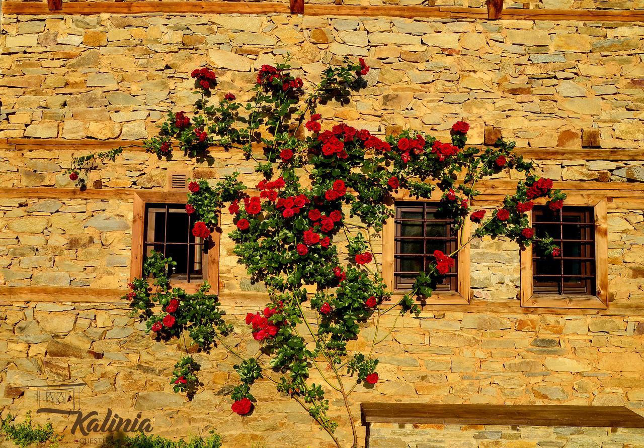 Kalinia Guesthouse B&B Kovačevica 외부 사진