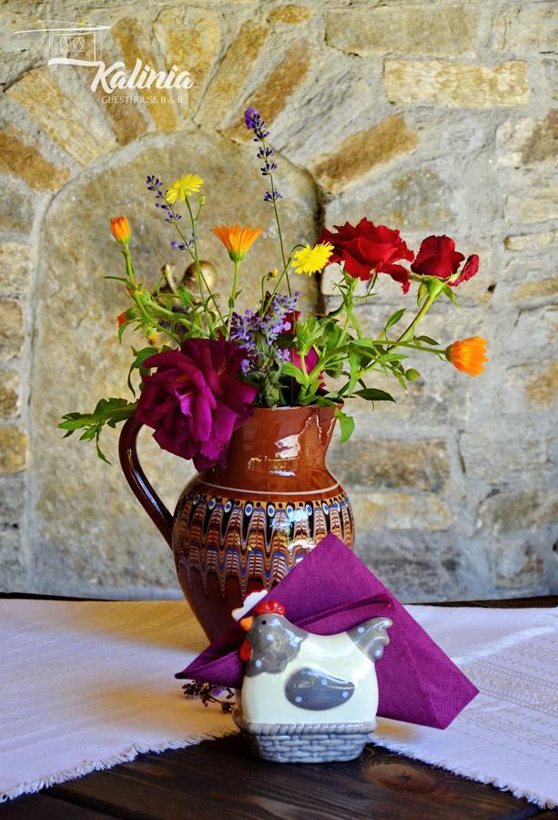Kalinia Guesthouse B&B Kovačevica 외부 사진