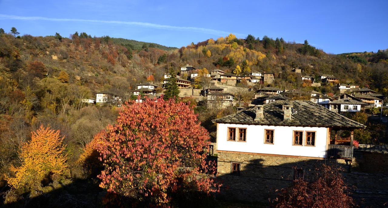 Kalinia Guesthouse B&B Kovačevica 외부 사진