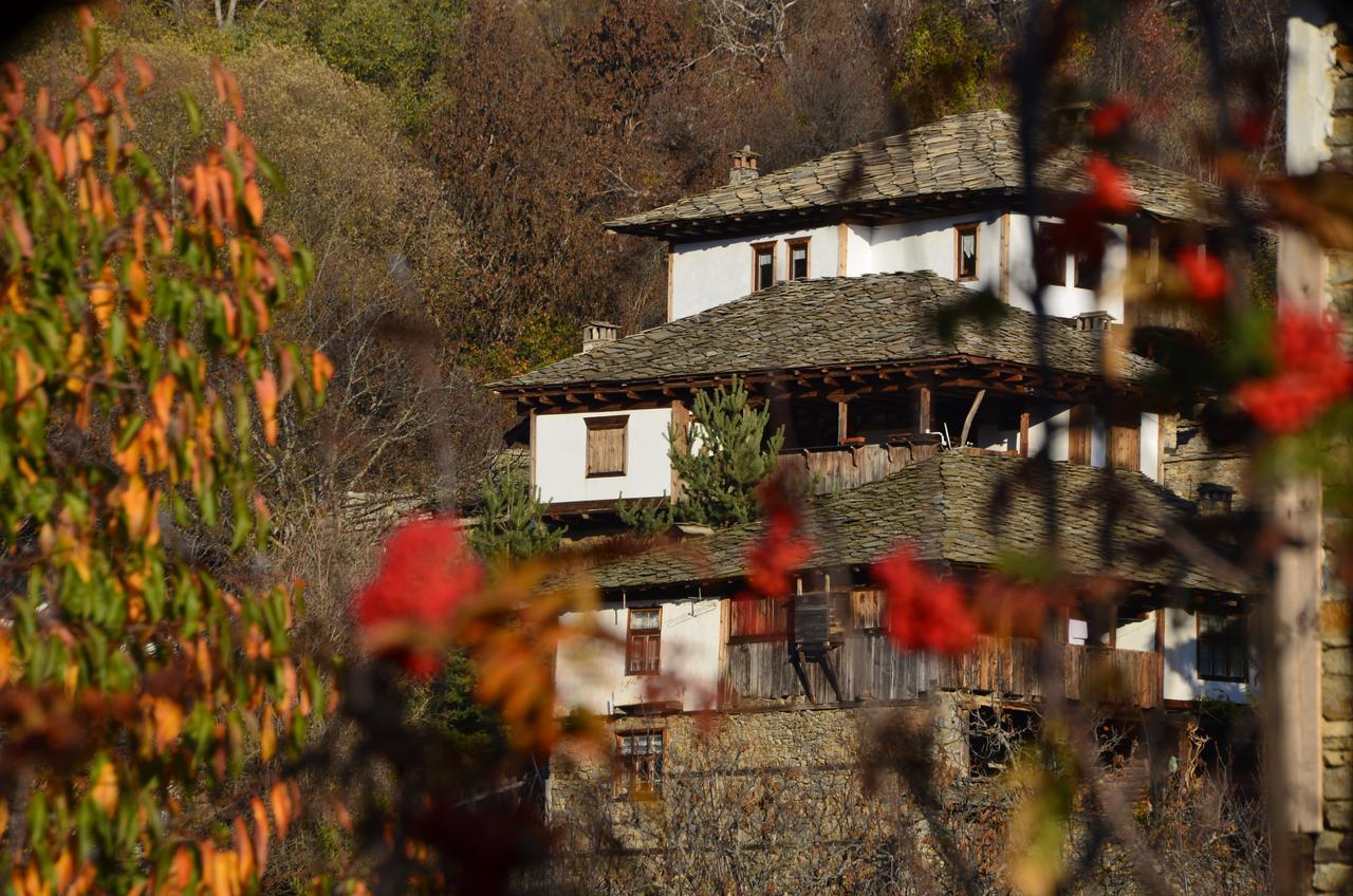 Kalinia Guesthouse B&B Kovačevica 외부 사진