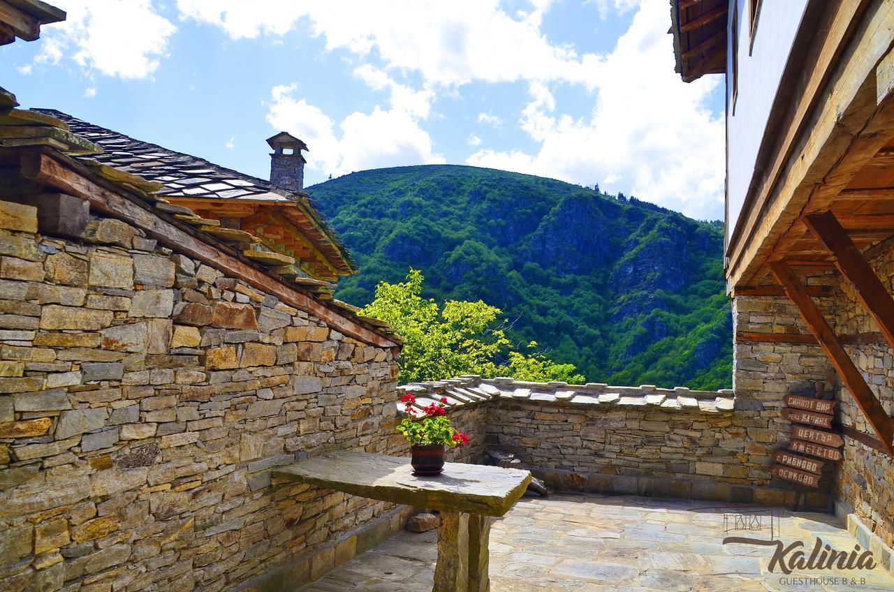 Kalinia Guesthouse B&B Kovačevica 외부 사진