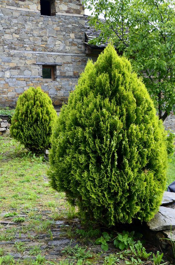 Kalinia Guesthouse B&B Kovačevica 외부 사진