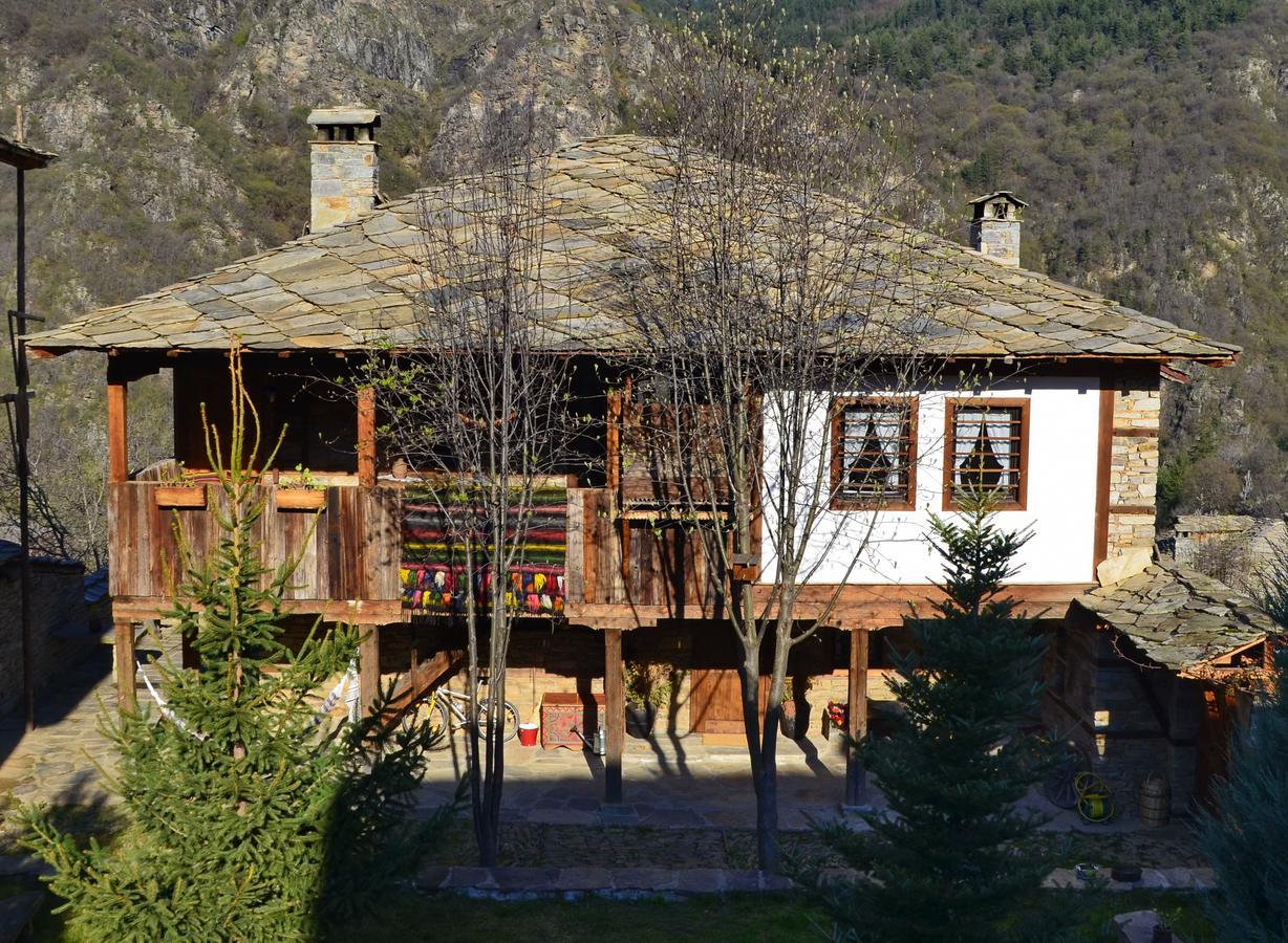 Kalinia Guesthouse B&B Kovačevica 외부 사진