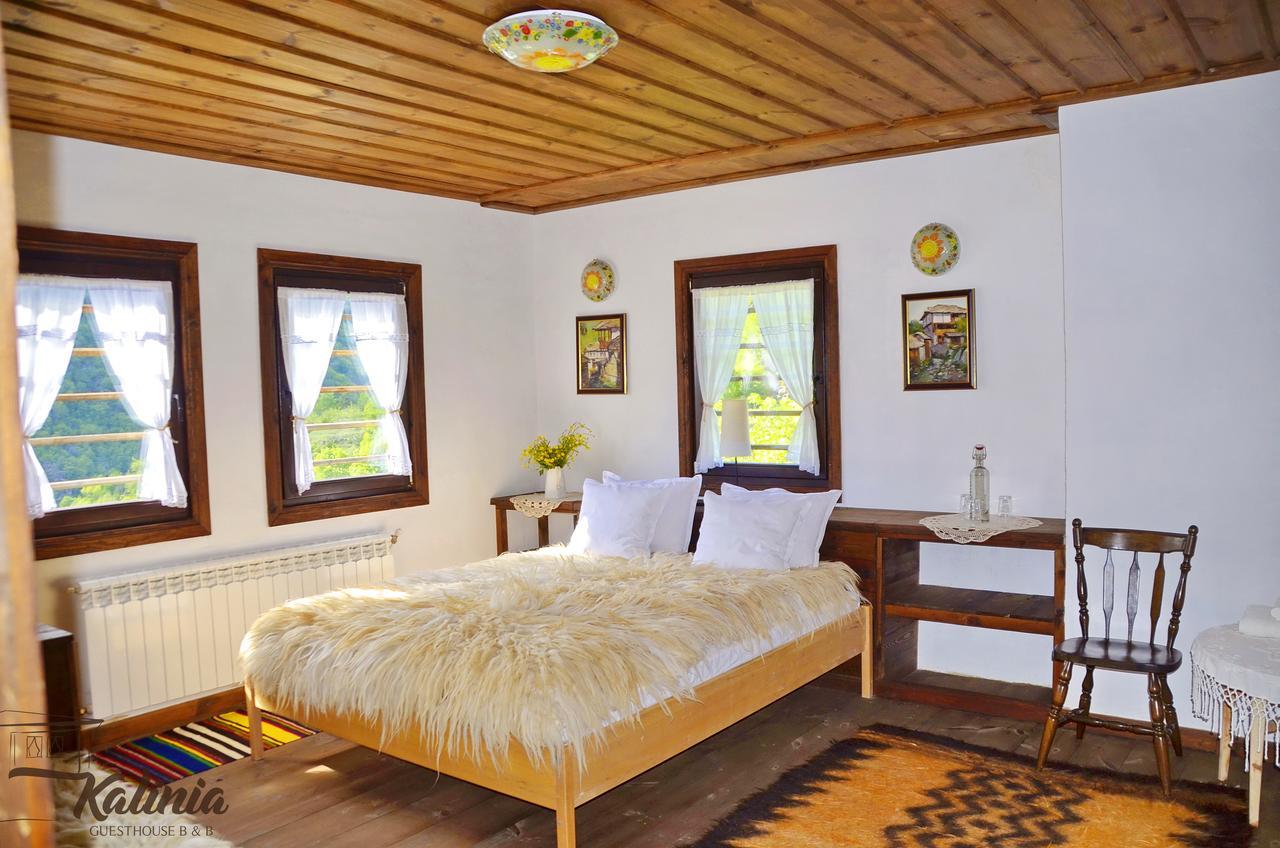 Kalinia Guesthouse B&B Kovačevica 외부 사진