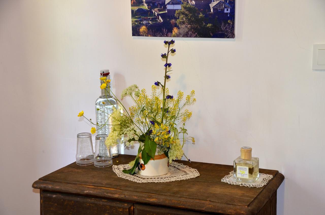 Kalinia Guesthouse B&B Kovačevica 외부 사진