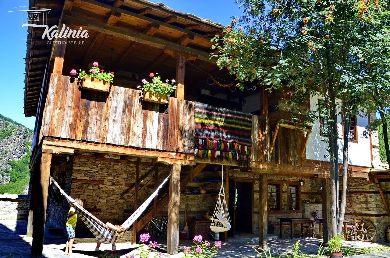 Kalinia Guesthouse B&B Kovačevica 외부 사진