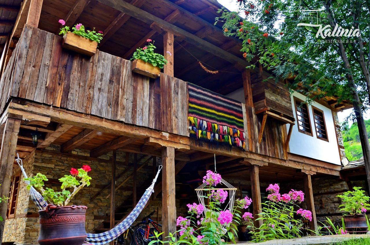 Kalinia Guesthouse B&B Kovačevica 외부 사진