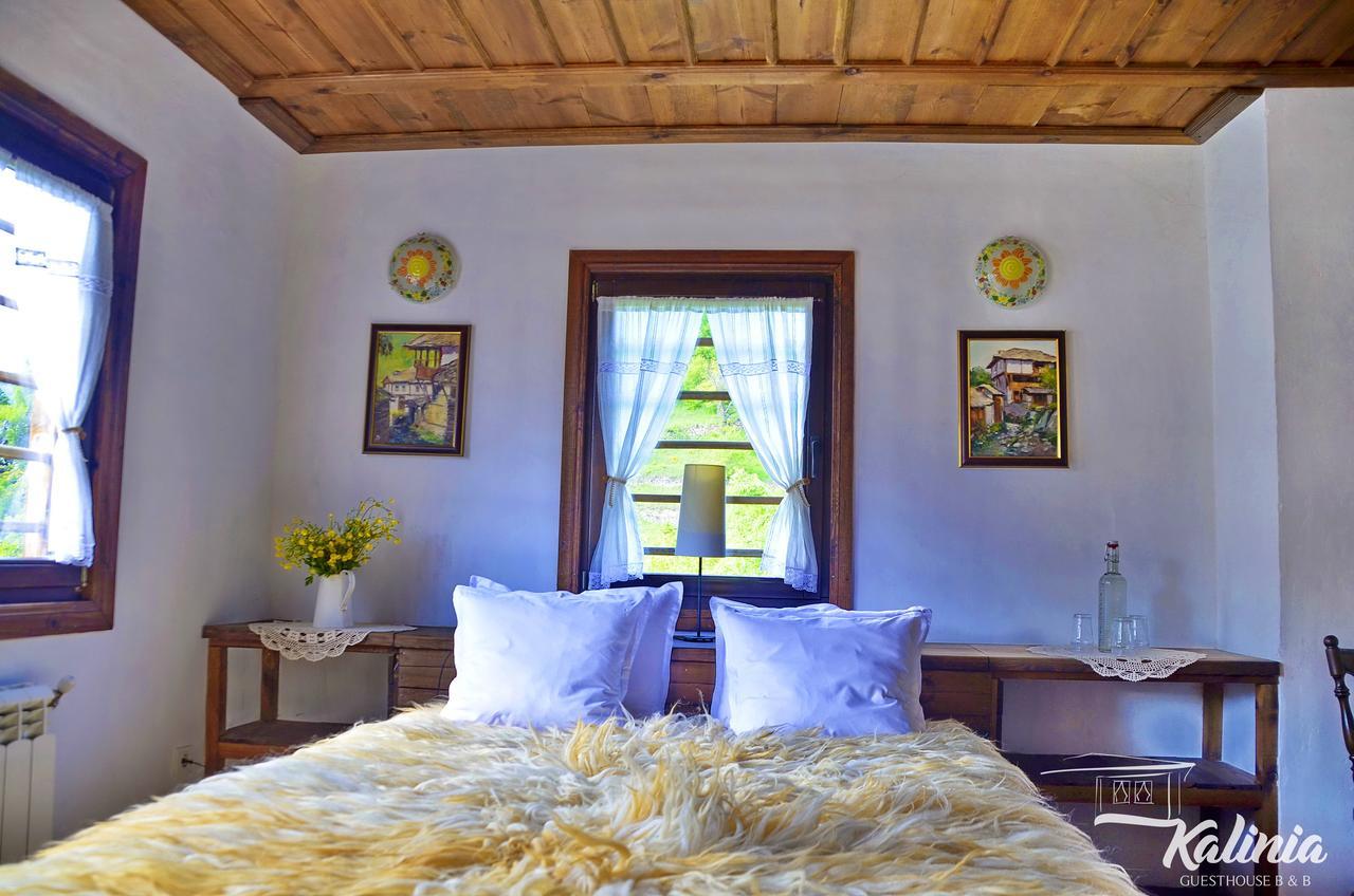 Kalinia Guesthouse B&B Kovačevica 외부 사진