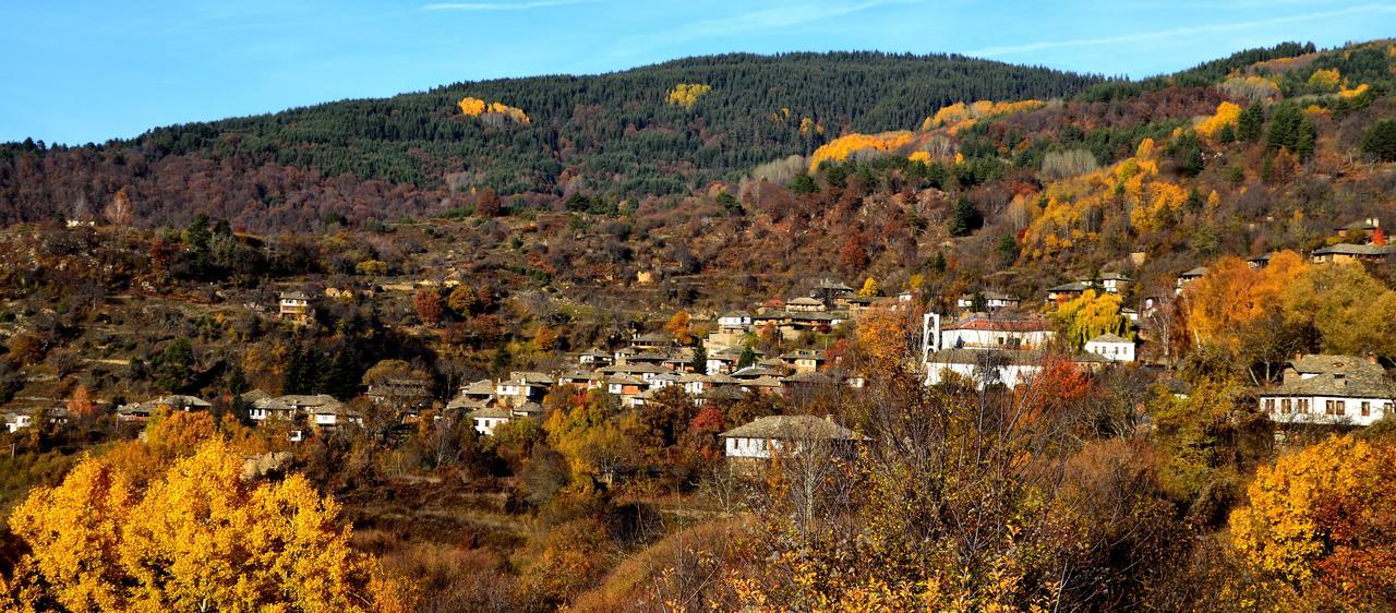Kalinia Guesthouse B&B Kovačevica 외부 사진