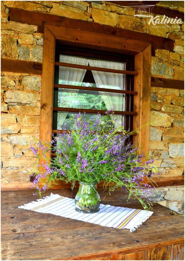 Kalinia Guesthouse B&B Kovačevica 외부 사진
